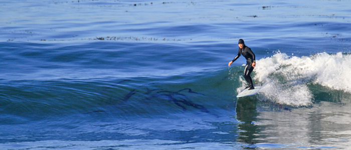 baja single day surf strike 01