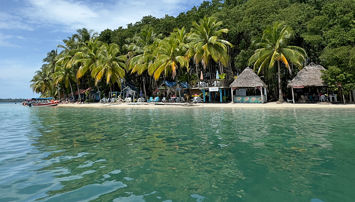 bocas exploration starfish beach