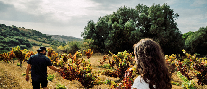 05 portugal exploration content